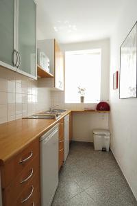 una cocina con lavabo y aseo. en Bioweingut Hauerhof 99 -apartment 1, en Klosterneuburg