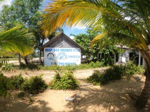 a building with a palm tree in front of it at DEEP SEA RESORT PADI DIVE CENTER in Amirthakaly