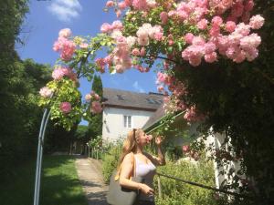 Gallery image of Bioweingut Hauerhof 99 -apartment 3 in Klosterneuburg +17 photos