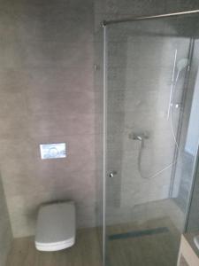 uma casa de banho com uma cabina de duche em vidro e um WC. em Hotel Merlot em Eger
