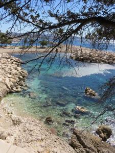 Φωτογραφία από το άλμπουμ του Chez Nous σε Le Rove +7 φωτογραφίες