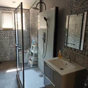 een badkamer met een douche en een wastafel bij Chez Nous in Le Rove