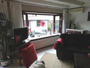 een woonkamer met een raam met kerstversiering bij Oase rust en privacy op de Veluwe voor 4 personen in Putten