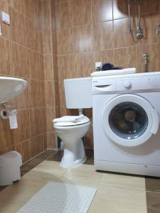 een badkamer met een toilet en een wasmachine bij Apartment with a garden Petrovac in Petrovac na Moru