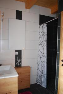 ein Bad mit einer Dusche und einem Waschbecken in der Unterkunft Ferienhaus Schirgi in Sankt Kathrein am Offenegg