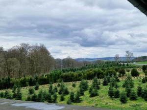 a field full of christmas trees on a hill at Sonnenhang Apartment in Medebach