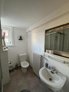 a bathroom with a sink and a toilet and a mirror at Haus zum Rütli in Chur
