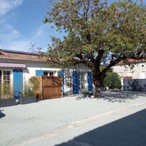 un albero in mezzo a un vialetto accanto a una casa di La Norélie a Saint-Sulpice-de-Royan