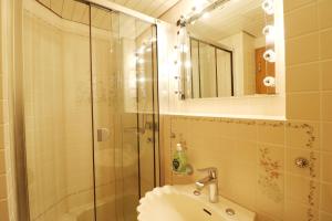 ein Bad mit einer Dusche, einem Waschbecken und einem Spiegel in der Unterkunft Hus im Schwefelmättle, Hinterzarten in Hinterzarten