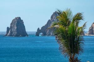 a palm tree on the beach with rocks in the ocean at Views to El Arco, Famous Cabo San Lucas bay rock formation in El Pueblito