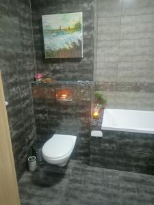 uma casa de banho com um WC e uma banheira em Apartament Wichrowe Wzgórze Olsztyn em Olsztyn