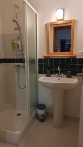 a bathroom with a sink and a shower with a mirror at Les chambres de Solol in Félines