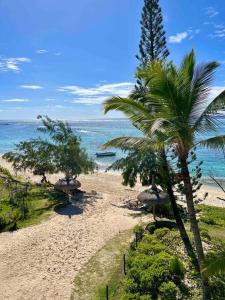 a sandy beach with palm trees and the ocean at Summer beachfront apartment in Belle Mare