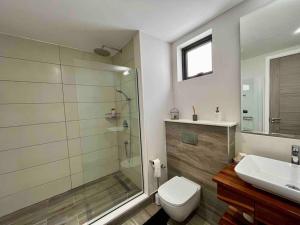 a bathroom with a shower and a toilet and a sink at Summer beachfront apartment in Belle Mare