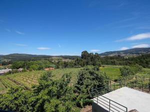 een uitzicht op een wijngaard vanuit een huis bij Varanda do Outeiro in Melgaço