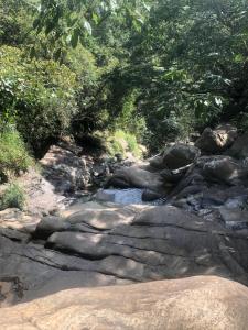 Gallery image of Ithin Kithul Villa in Beragala