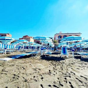 un grupo de sillas y sombrillas en una playa en Hotel Miramare, en Ladispoli