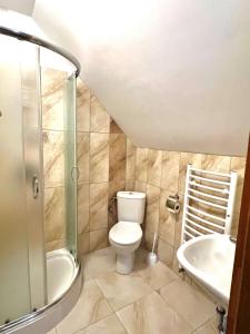 a bathroom with a toilet and a shower and a sink at Willa Na Krańcu Kazimierza in Uściąż