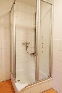 布萊特瑙的住宿－Ferienwohnung "Dorfliebe" mit privater Sauna und 4 Schlafzimmern in Breitnau，浴室里设有玻璃门淋浴