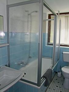 a bathroom with a shower with a sink and a toilet at Haus Elisabeth - Fewo Glottertal, 1 Schlafzimmer, Feldberg nahe Skipiste in Neuglashütten