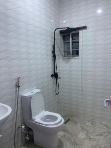 ein Bad mit einem WC und einer Dusche in der Unterkunft BLUE AO HOTEL in Lagos