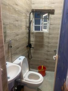 a bathroom with a toilet and a sink at BLUE AO HOTEL in Lagos