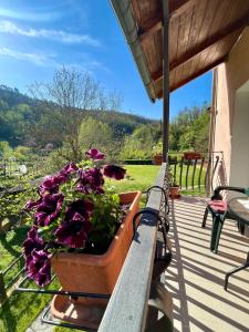 a potted plant sitting on a bench on a porch at Casa Vacanze Marisa in Sesta Godano