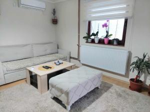 uma sala de estar com um sofá e uma mesa em Guesthouse Jelena em Višegrad