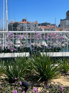 a bunch of flowers in front of a marina at Marina Club Luxury private studio with Pool and incredible views in Gibraltar