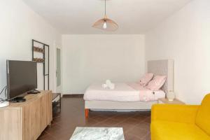 a living room with a bed and a tv at Superbe Studio Paris Gambetta in Paris