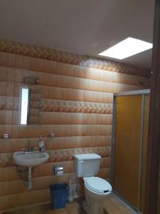 a bathroom with a toilet and a sink at Aguascalientes feria nacional de San Marcos in Aguascalientes