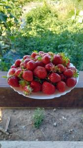 un plato de fresas sentado en una mesa de madera en Apartman Mustapić, en Pižnovac