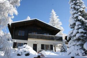 une maison dans la neige avec des arbres enneigés dans l'établissement Chalet Claire, à Bürchen