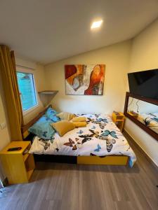 1 dormitorio con 1 cama y TV de pantalla plana en Cabaña del olivo, en Paredes de Buitrago