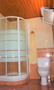 a bathroom with a toilet and a shower at Villa Delta in L'Eucaliptus