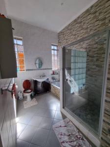 a bathroom with a shower and a toilet and a sink at The Villa in Bulawayo