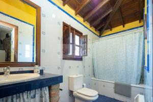 a bathroom with a sink and a toilet and a mirror at La Casona Del Cura III in Pravia