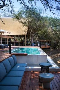 a swimming pool with a blue couch on a wooden deck at Serondella Game Lodge in Thornybush Game Reserve