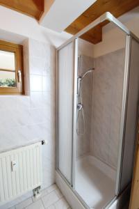a shower with a glass door in a bathroom at Landhaus Nockalm in Bad Kleinkirchheim