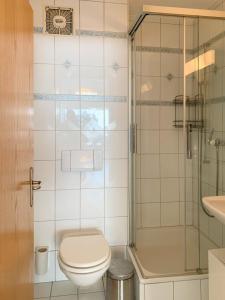 e bagno con servizi igienici e doccia. di Spacious and charming duplex in the centre of Brig a Brig