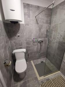 a bathroom with a toilet and a glass shower at IN Apartments AirPort in Podgorica