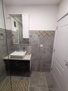 ein Bad mit einem Waschbecken und einer Dusche mit einem Spiegel in der Unterkunft IN Apartments AirPort in Podgorica