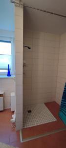 Habitación con baño con ducha. en Ferienwohnung Weise, en Grillenberg