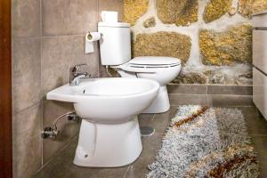 a bathroom with a toilet and a sink at Fraga Douro House, Douro Valley in Resende +20 photos