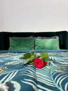 une rose rouge assise au-dessus d'un lit dans l'établissement Coeur Nature, à Arsimont