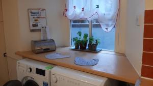 a kitchen counter with a washing machine and a window at Beulah Serviced bedrooms in Aberdeen