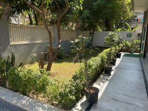 a garden with a row of trees and plants at Sunrise guesthoues in Greater Noida
