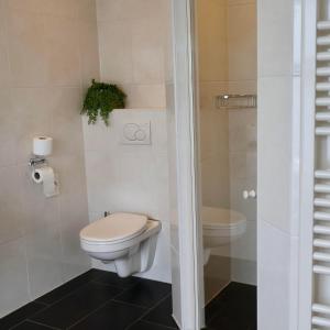 a bathroom with a toilet and a shower at Moeke Mooren in Appeltern