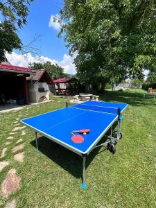 Komjáti的住宿－Diókert Vendégház，院子里的一张蓝色乒乓球桌
