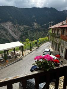 a view of a road with flowers on a balcony at Via Ferrata Hotel in Prousós